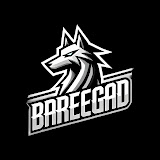 Baregad logo